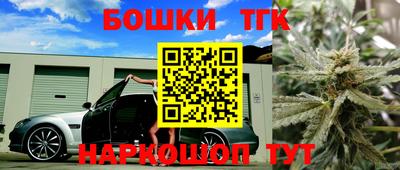 шишки Канаш