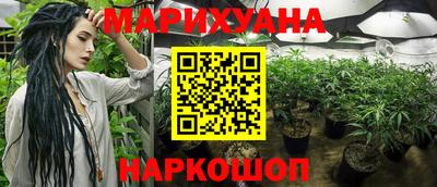 спайс Кандалакша