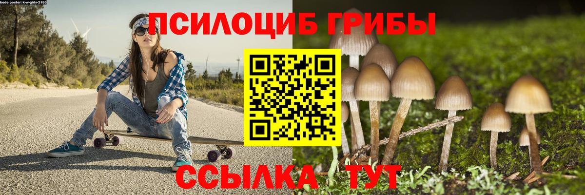Галлюциногенные грибы мицелий  Вход с VPN  Краснознаменск 